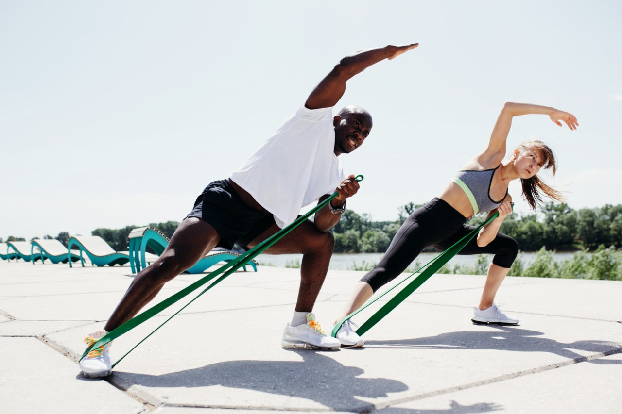 Shelter Fitness - Premium Fitness Equipment at Affordable Prices